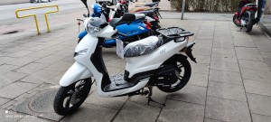 Peugeot Tweet PRO Lieferservice-Roller