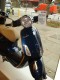 Vespa Primavera 125 iGet  ABS